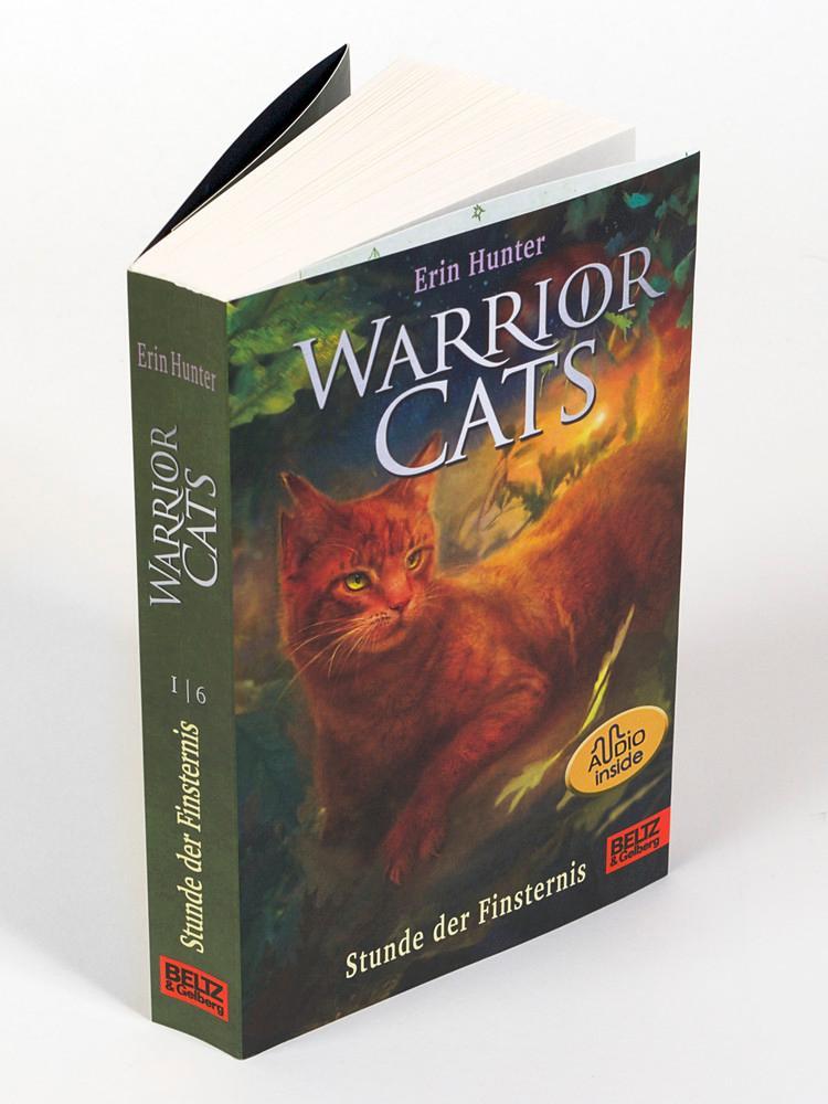 Bild: 9783407758705 | Warrior Cats. Die Prophezeiungen beginnen - Stunde der Finsternis