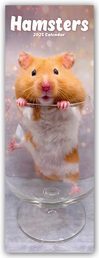 Cover: 9781804605257 | Hamsters - Hamster 2025 | Avonside Publishing Ltd | Kalender | 14 S.