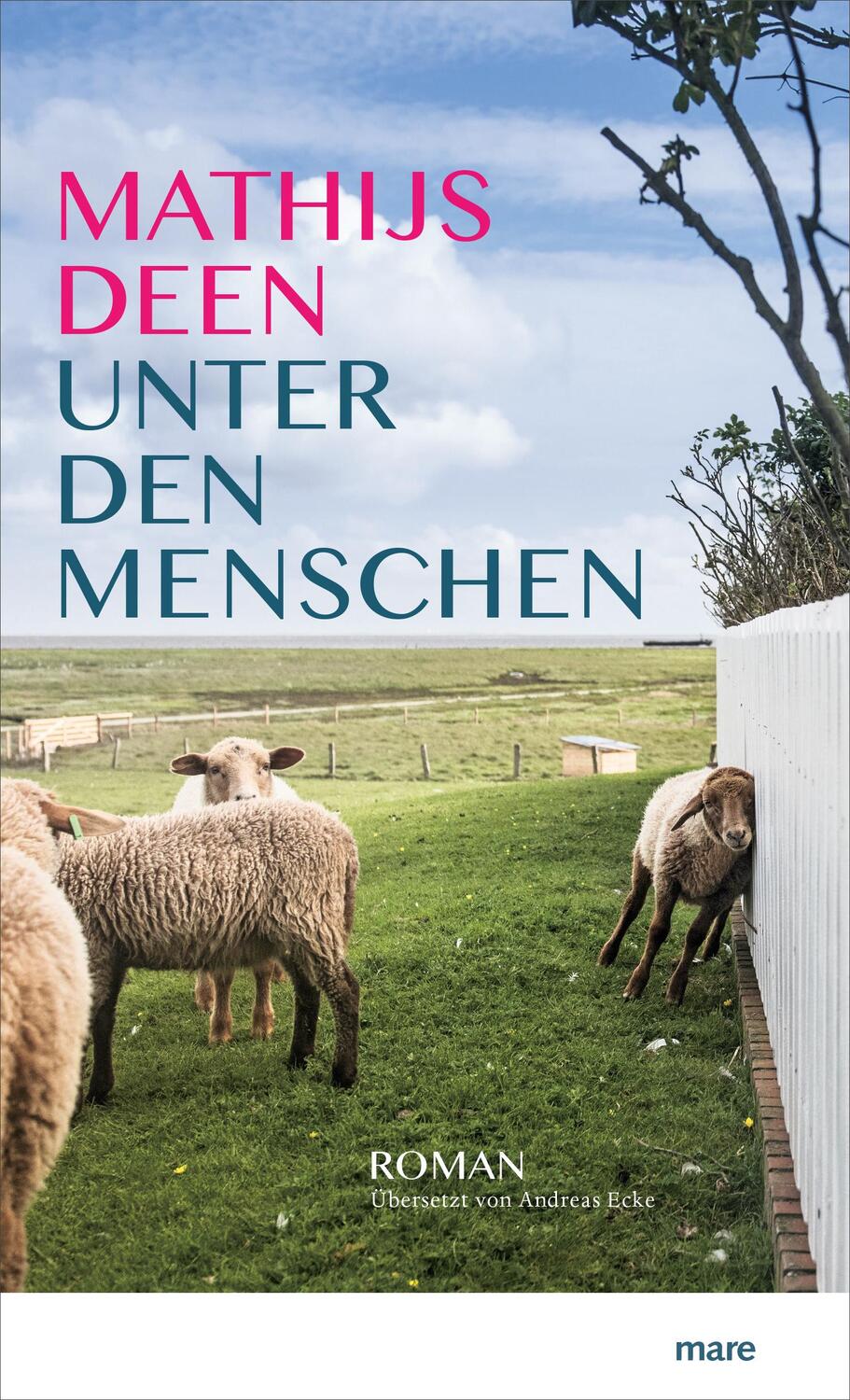 Cover: 9783866482807 | Unter den Menschen | Mathijs Deen | Buch | Deutsch | 2019 | mareverlag