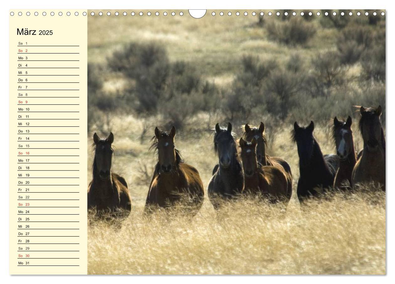 Bild: 9783435529353 | Wilde Pferde. Mustangs in USA (Wandkalender 2025 DIN A3 quer),...