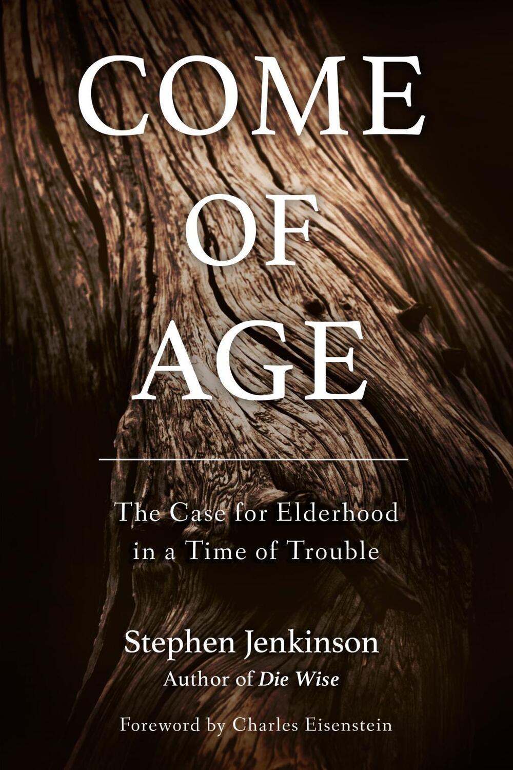 Cover: 9781623172091 | Come of Age: The Case for Elderhood in a Time of Trouble | Jenkinson