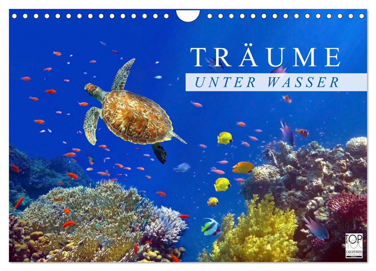 Cover: 9783435659609 | Träume unter Wasser (Wandkalender 2025 DIN A4 quer), CALVENDO...