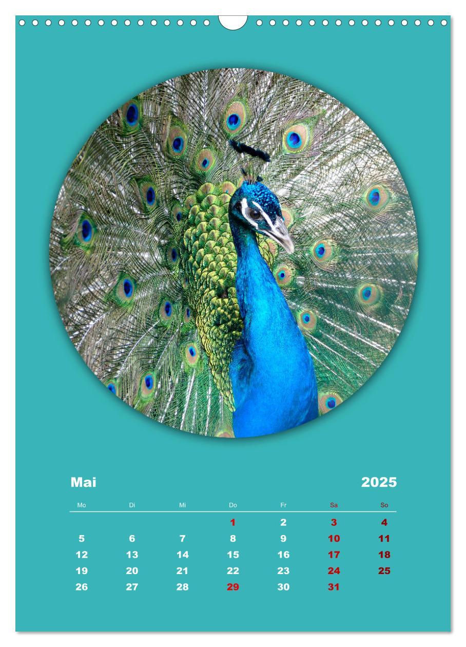 Bild: 9783435897186 | Rundherum Natur (Wandkalender 2025 DIN A3 hoch), CALVENDO...