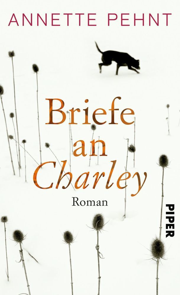 Cover: 9783492057288 | Briefe an Charley | Ein Roman | Annette Pehnt | Buch | 176 S. | 2015