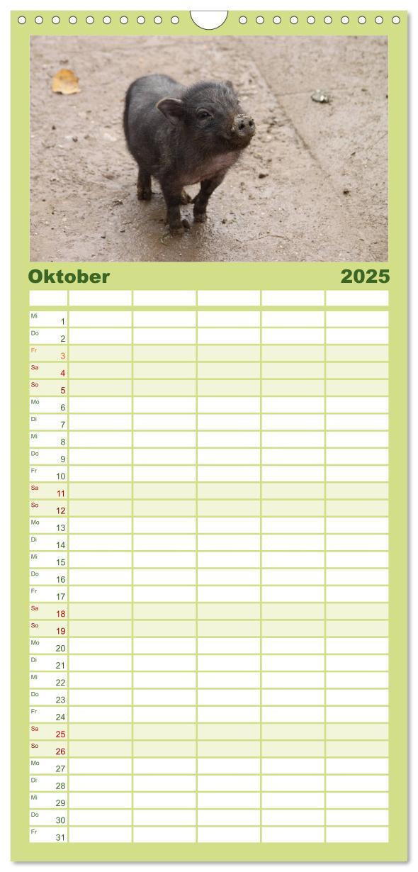 Bild: 9783457124741 | Familienplaner 2025 - Schwein gehabt! mit 5 Spalten (Wandkalender,...