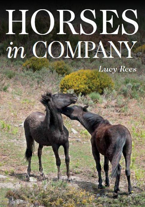 Cover: 9781908809568 | Horses in Company | Lucy Rees | Taschenbuch | Englisch | 2017