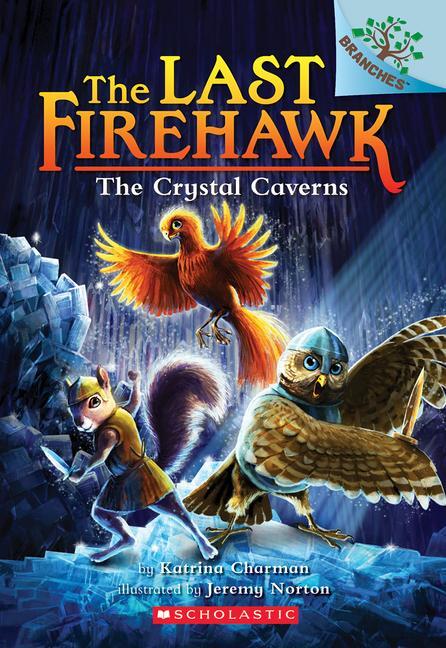 Cover: 9781338122510 | The Crystal Caverns: A Branches Book (the Last Firehawk #2) | Volume 2