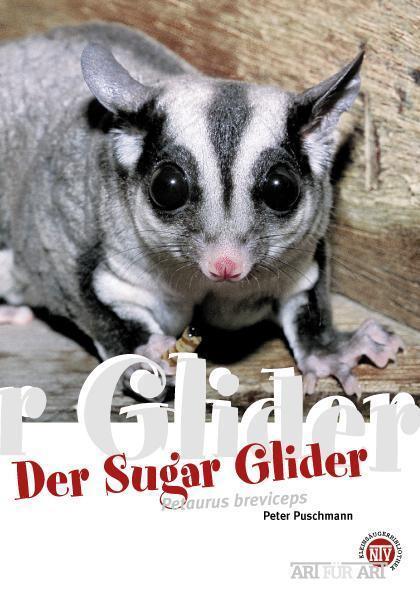 Cover: 9783866590458 | Der Sugar Glider | Art für Art | Peter Puschmann | Taschenbuch | 64 S.