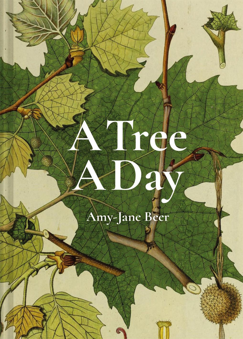 Cover: 9781849946520 | A Tree A Day | Amy-Jane Beer | Buch | Gebunden | Englisch | 2021