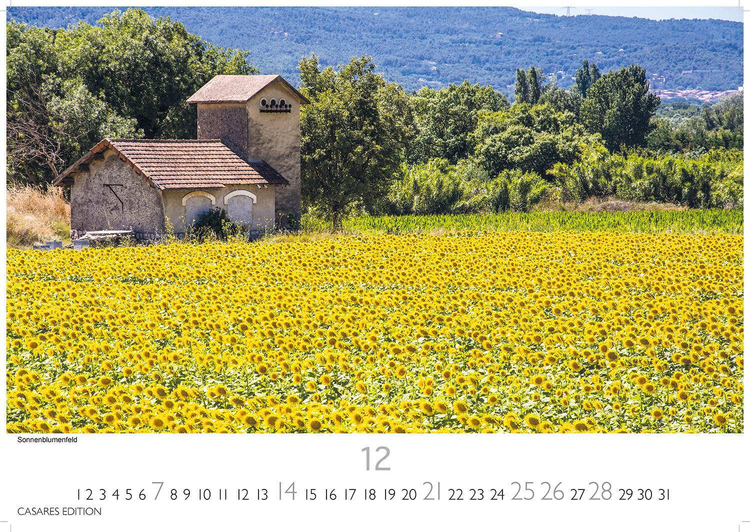 Bild: 9781835241769 | Provence 2025 L 35x50cm | Kalender | 14 S. | Deutsch | 2025