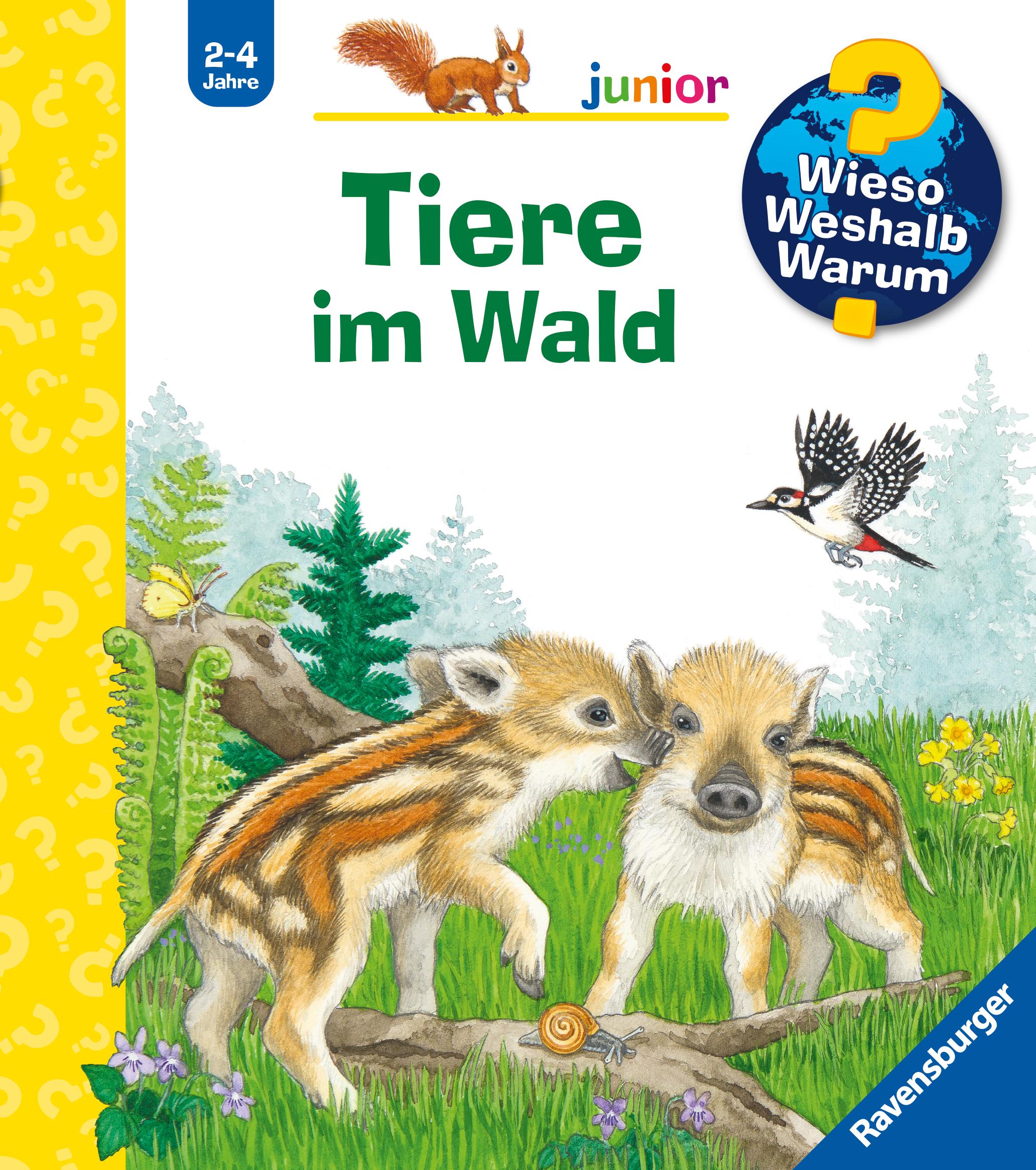 Cover: 9783473600793 | Wieso? Weshalb? Warum? junior, Band 77: Tiere im Wald | Mennen | Buch