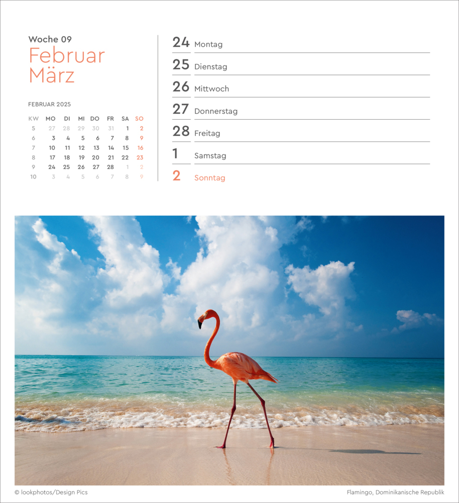 Bild: 9783965913905 | Summertime - KUNTH Postkartenkalender 2025 | Kalender | 53 S. | 2025