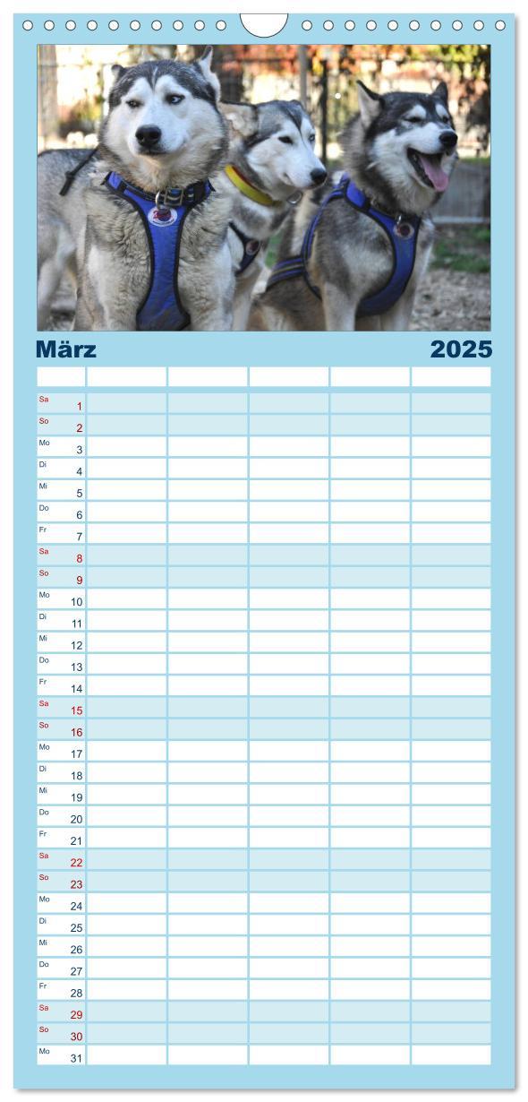 Bild: 9783457113264 | Familienplaner 2025 - Husky-Kalender mit 5 Spalten (Wandkalender,...