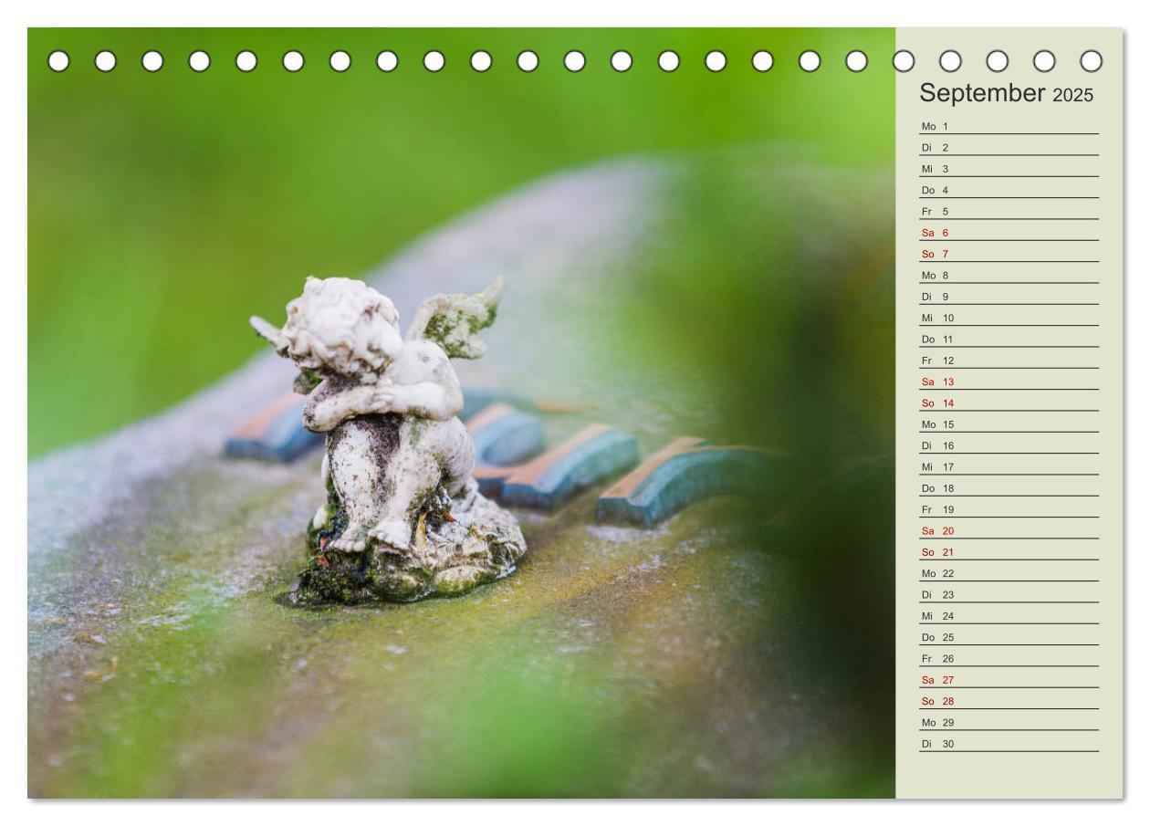 Bild: 9783435370818 | Engel - Begleiter für jeden Tag (Tischkalender 2025 DIN A5 quer),...