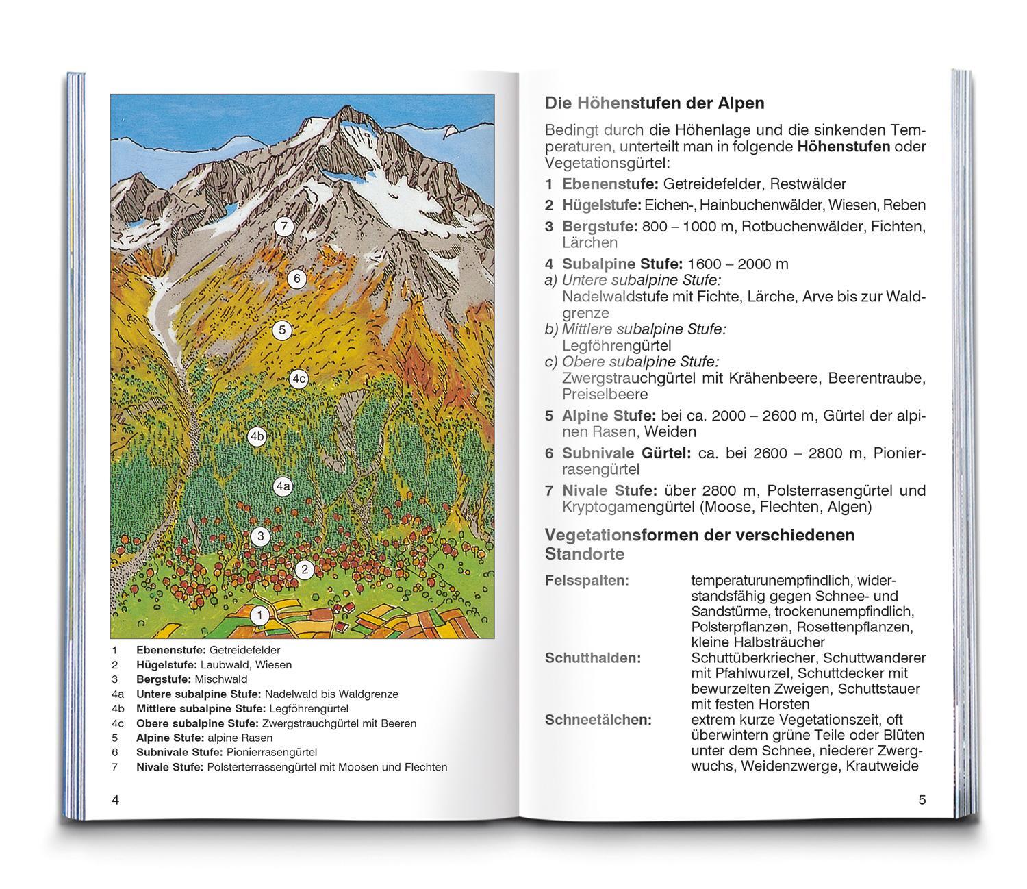 Bild: 9783991218319 | Alpenblumen | Der handliche Begleiter in die Natur | Buch | 80 S.