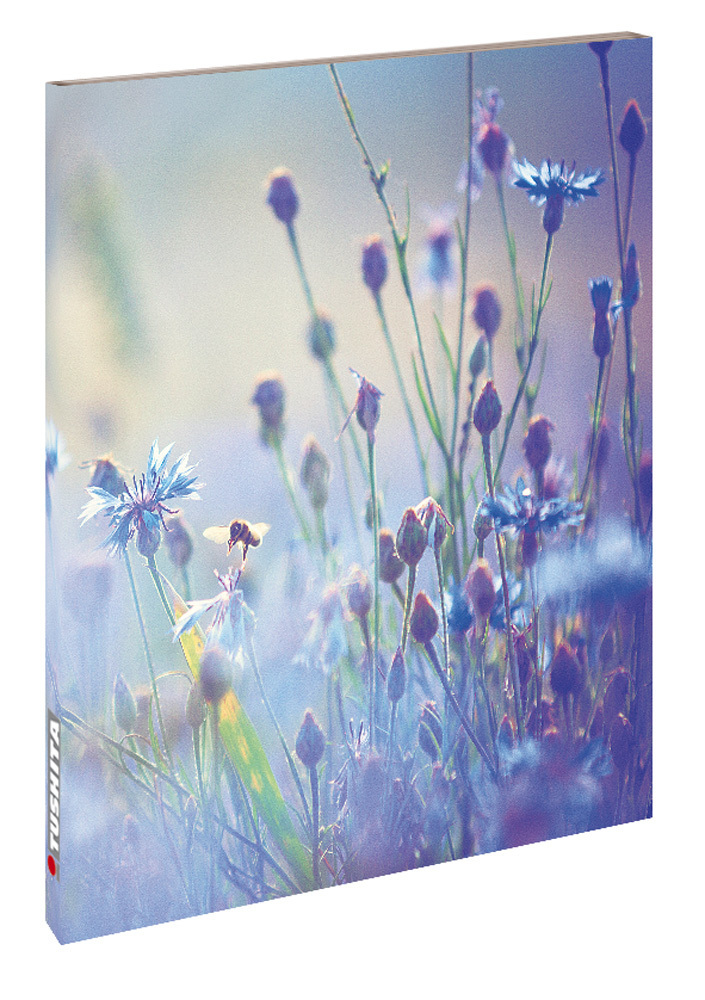 Cover: 9783960136491 | Summer Meadow | Buch | Deutsch | 2021 | 5106765 | EAN 9783960136491