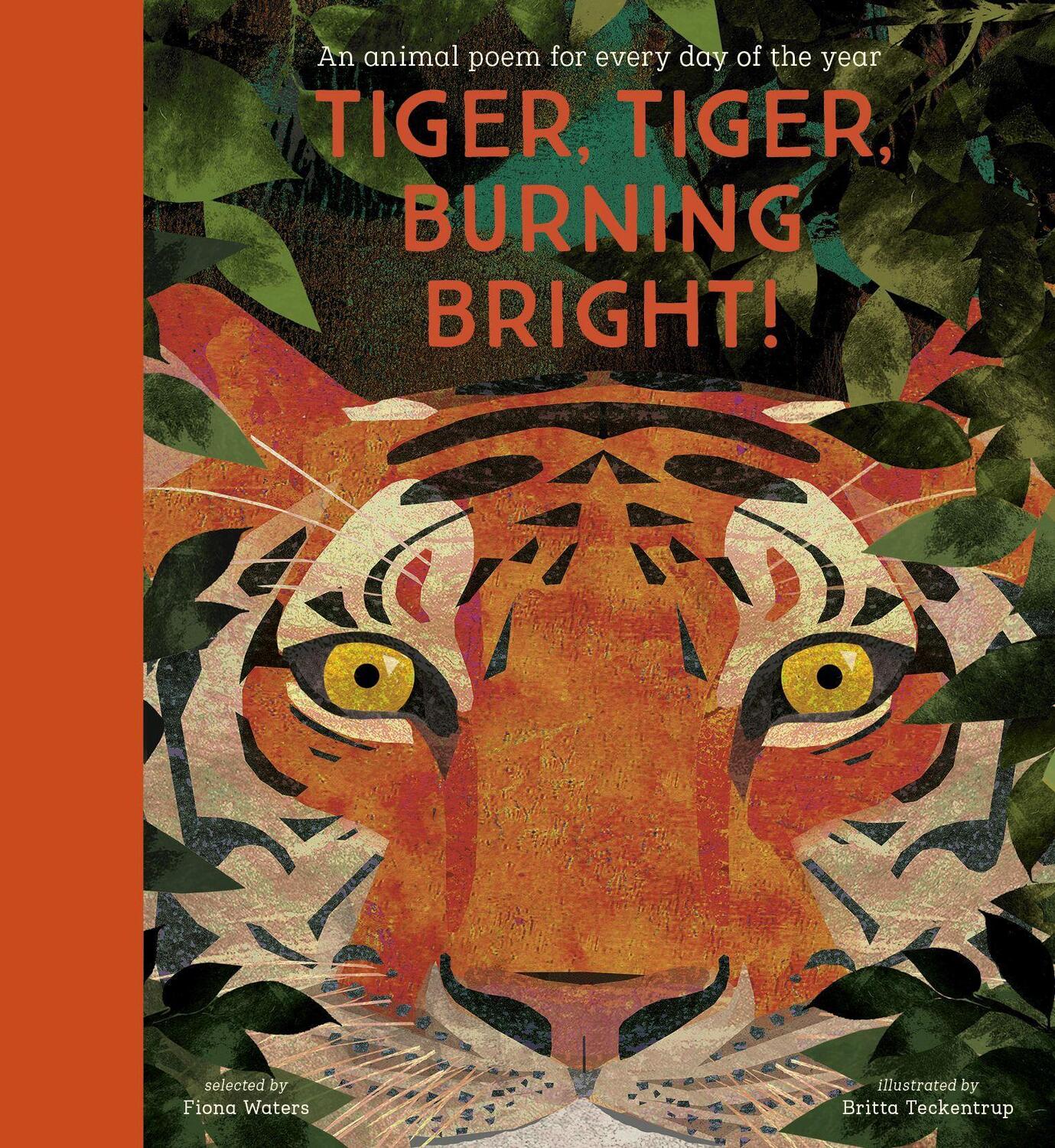 Cover: 9781788005678 | Tiger, Tiger, Burning Bright | Fiona Waters | Buch | Englisch | 2020