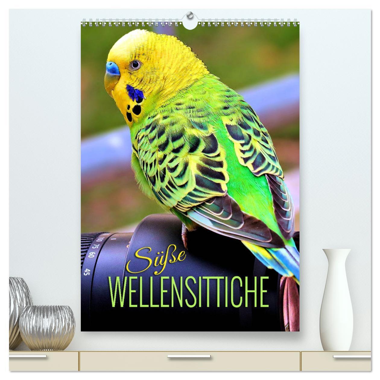 Cover: 9783675907171 | Süße Wellensittiche (hochwertiger Premium Wandkalender 2024 DIN A2...