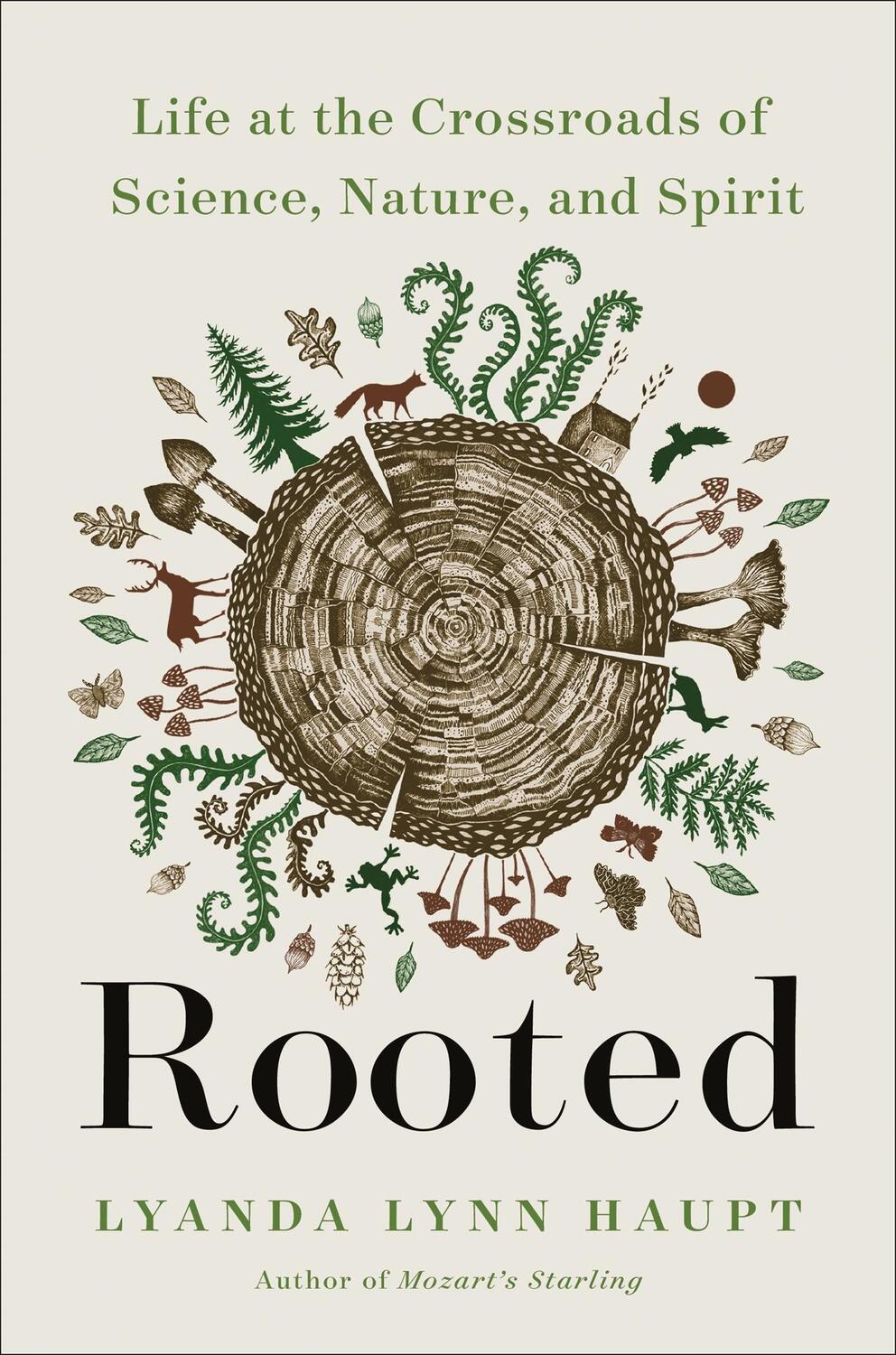 Cover: 9780316426480 | Rooted | Life at the Crossroads of Science, Nature, and Spirit | Haupt