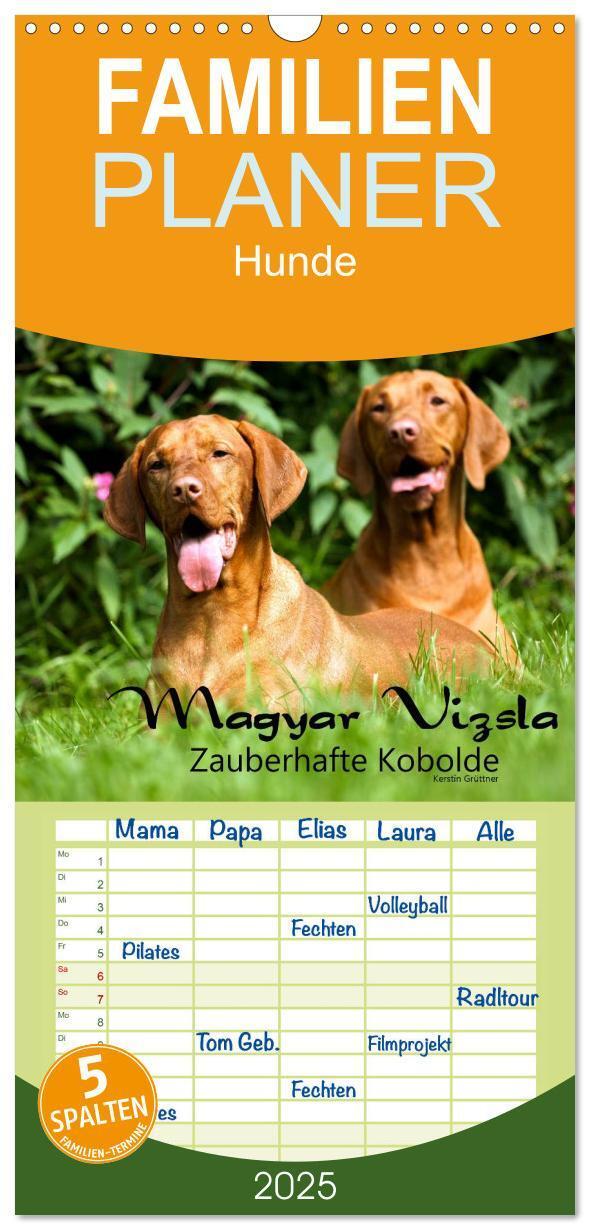 Cover: 9783457116685 | Familienplaner 2025 - Magyar Vizsla - Zauberhafte Kobolde mit 5...