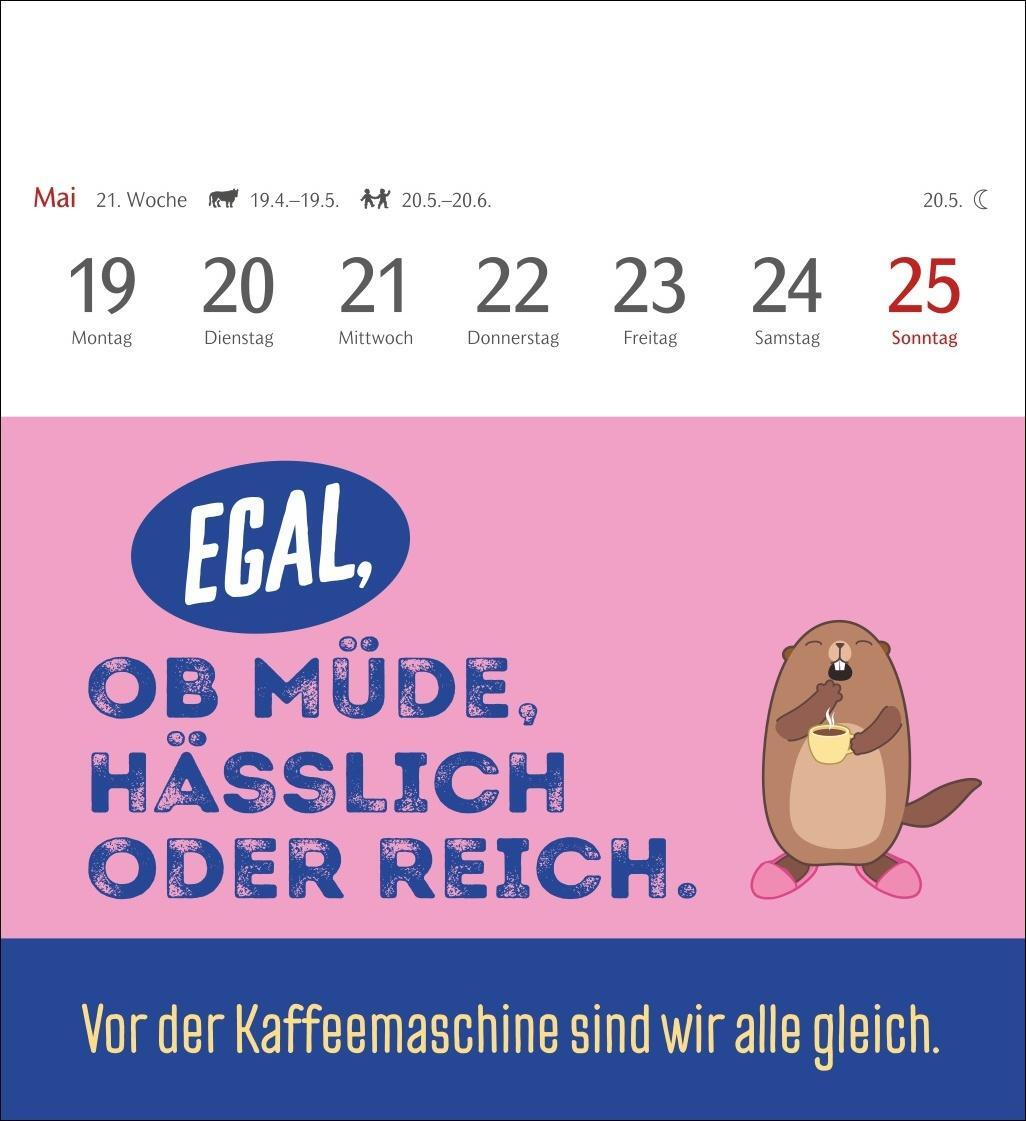 Bild: 9783840034190 | Der fette Vogel bricht den Ast Postkartenkalender 2025 -...