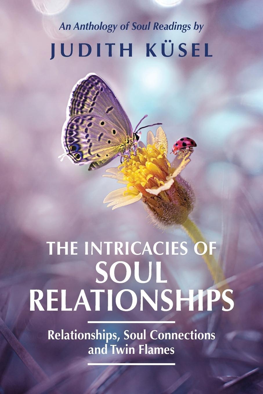 Cover: 9780796120380 | The Intricacies of Soul Relationships | Judith Küsel | Taschenbuch