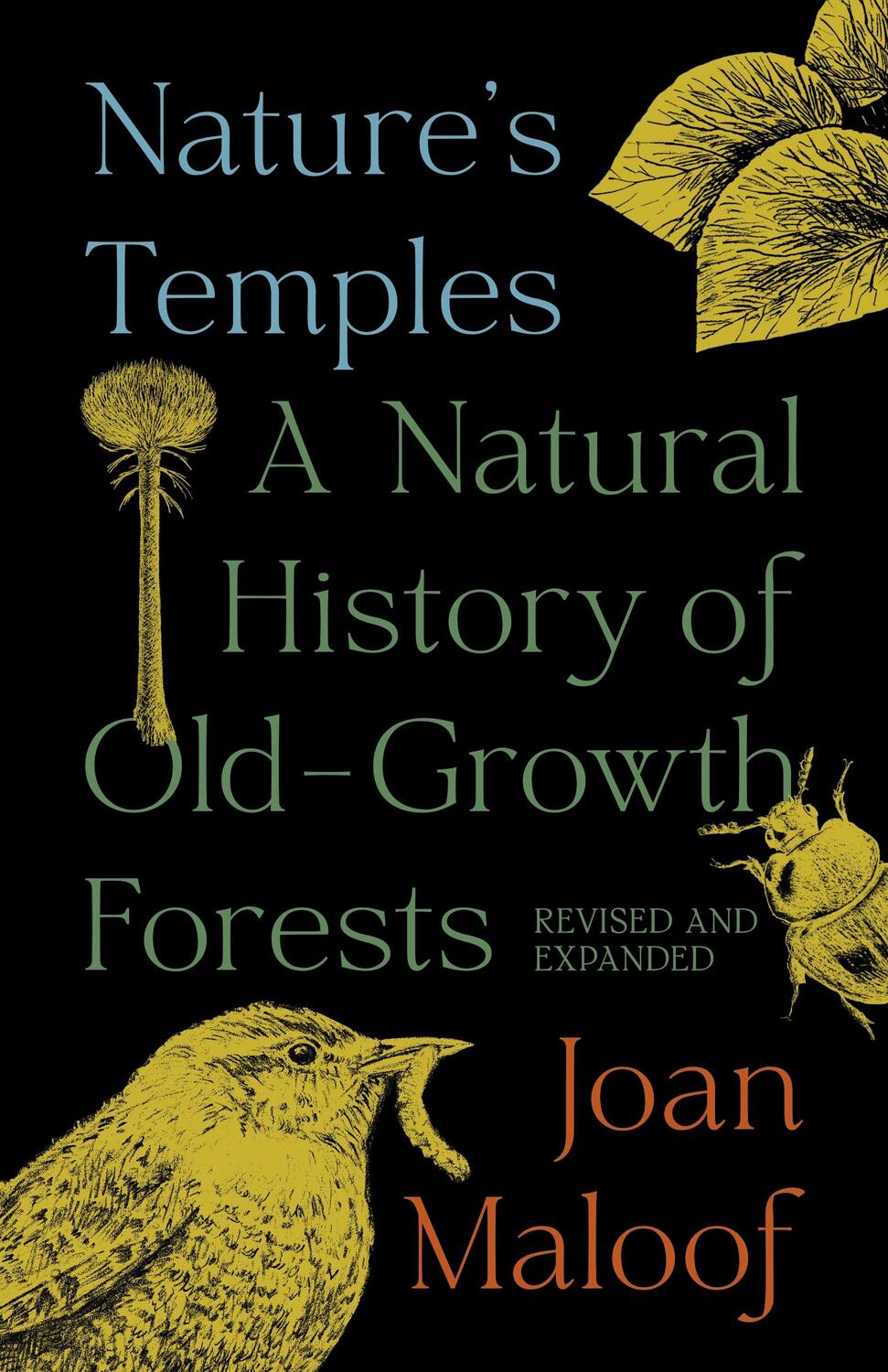 Cover: 9780691230504 | Nature's Temples | Joan Maloof | Taschenbuch | Kartoniert / Broschiert