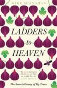 Cover: 9781783525805 | Ladders to Heaven | Mike Shanahan | Taschenbuch | Englisch | 2018