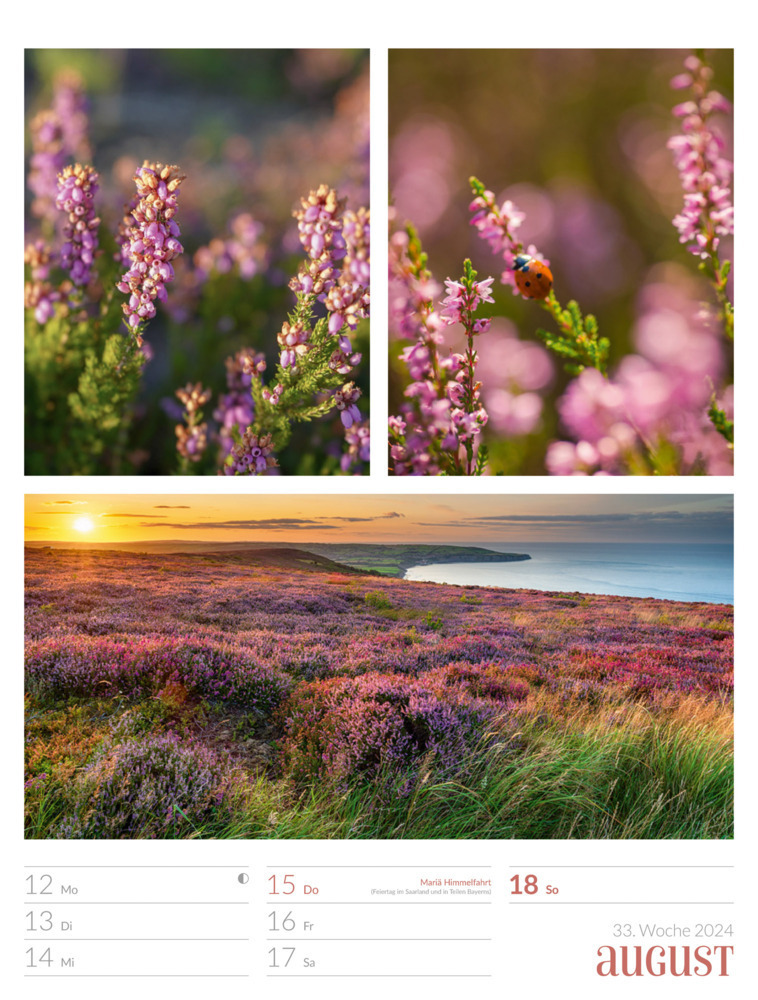 Bild: 9783838424811 | Farben der Natur - Wochenplaner Kalender 2024 | Ackermann Kunstverlag