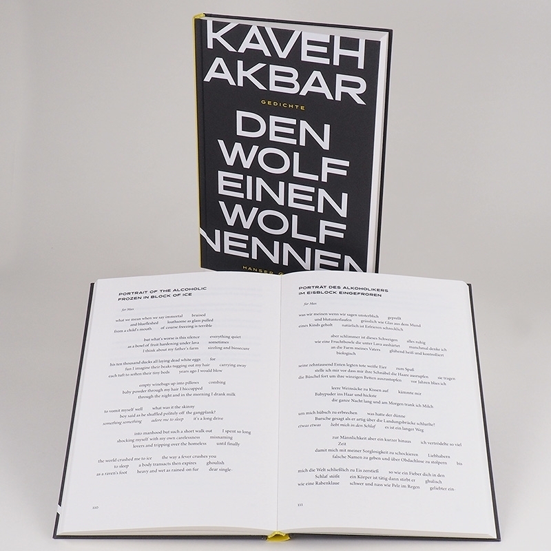 Bild: 9783446269354 | Den Wolf einen Wolf nennen | Kaveh Akbar | Buch | 192 S. | Deutsch