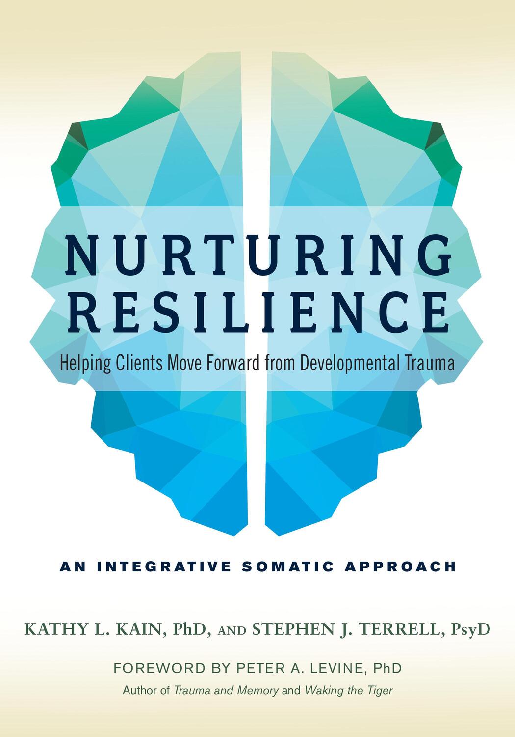 Cover: 9781623172039 | Nurturing Resilience: Helping Clients Move Forward from...