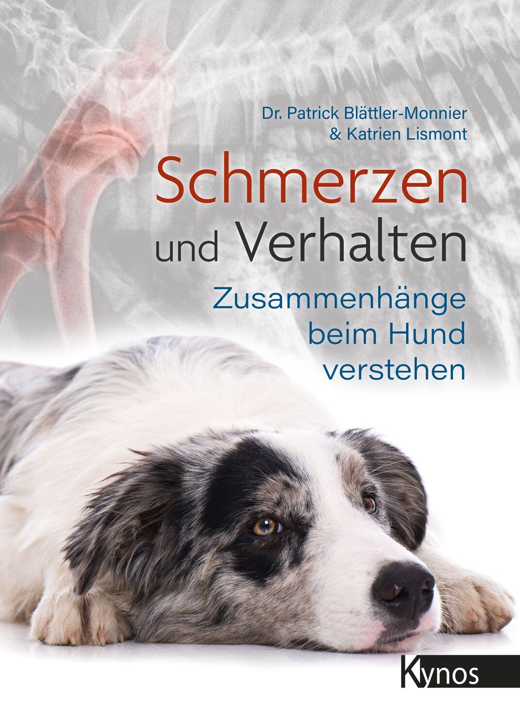 Cover: 9783954643127 | Schmerzen und Verhalten | Zusammenhänge beim Hund verstehen | Buch