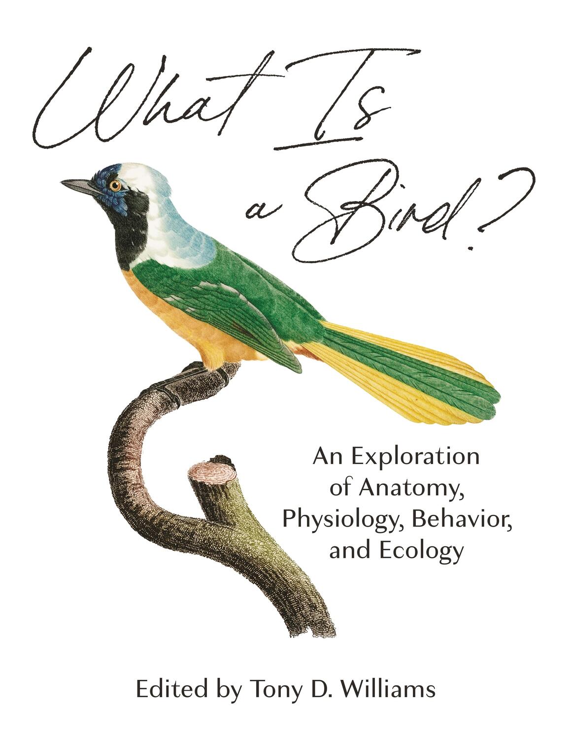 Cover: 9780691200163 | What Is a Bird? | Tony D. Williams | Buch | Gebunden | Englisch | 2020