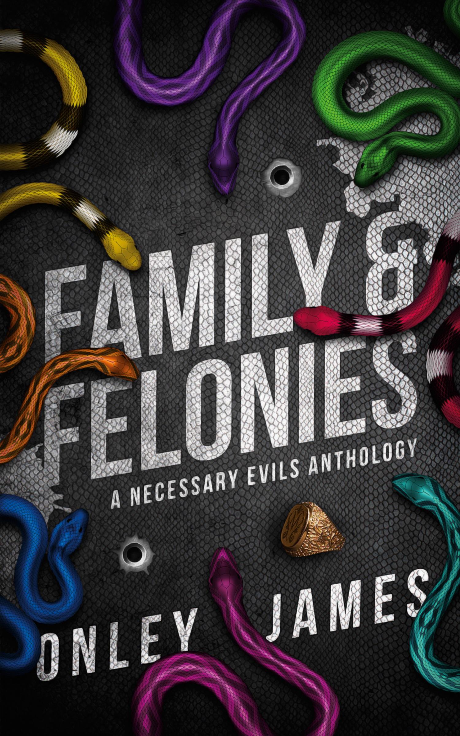 Cover: 9798889920915 | Family &amp; Felonies | A Necessary Evils Anthology | Onley James | Buch