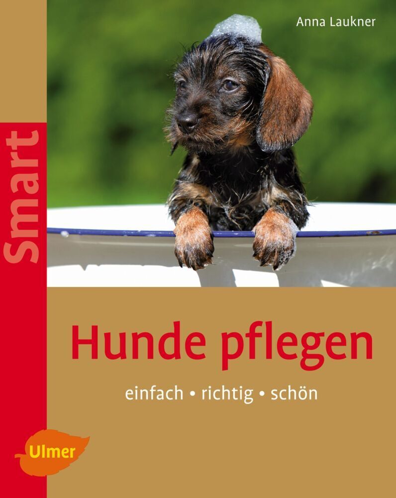 Cover: 9783800157952 | Hunde pflegen | Einfach - richtig - schön | Anna Laukner | Taschenbuch