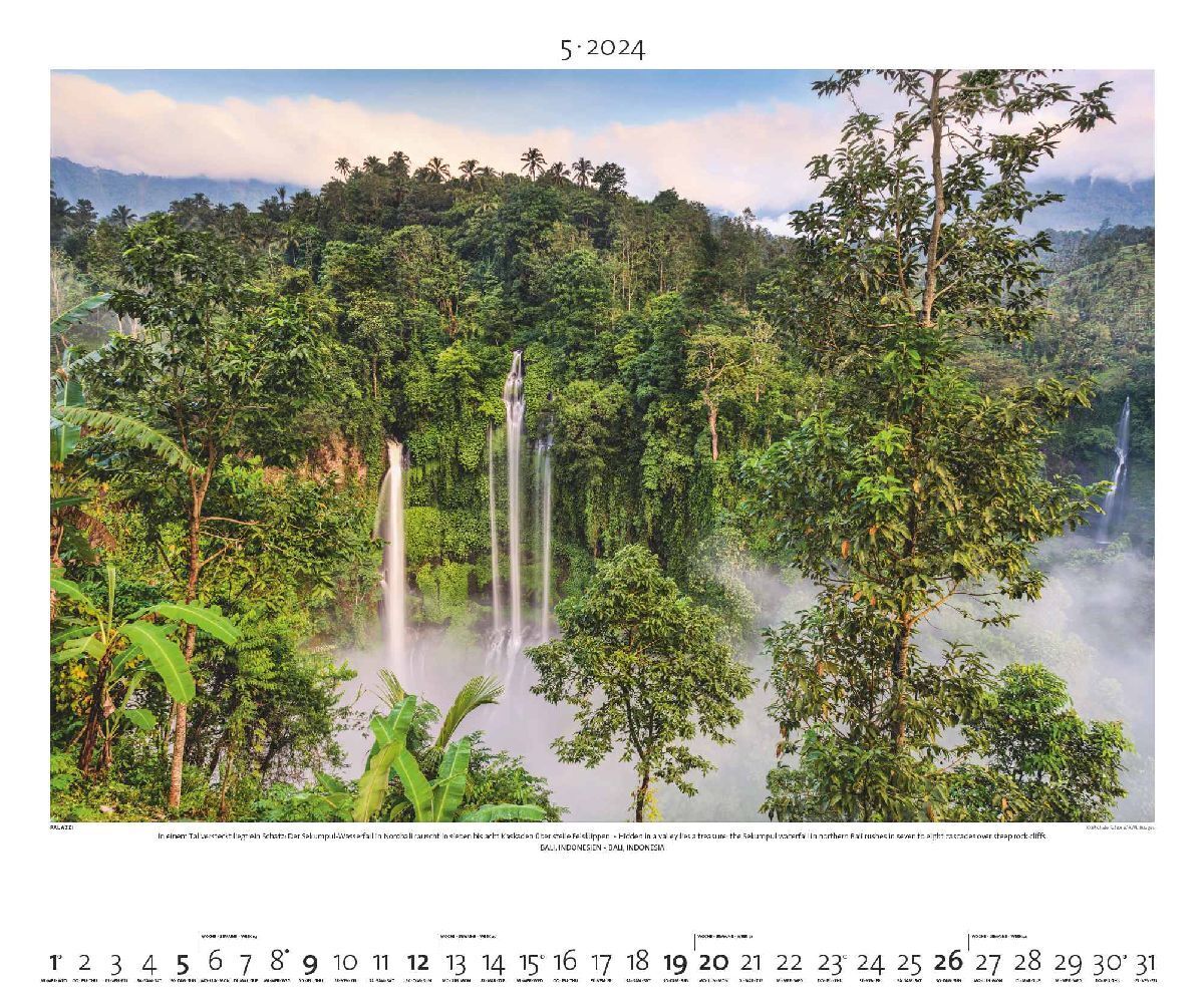 Bild: 4251734300638 | Regenwald 2024 - Bild-Kalender - Poster-Kalender - 60x50 | Kalender