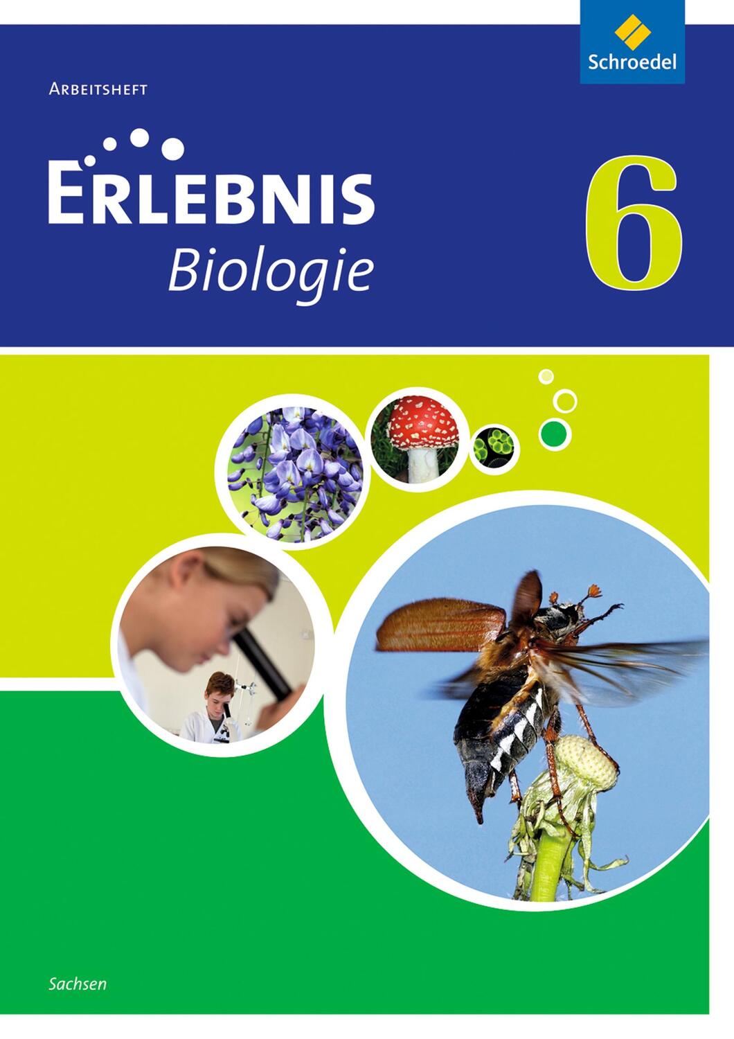 Cover: 9783507775961 | Erlebnis Biologie 6. Arbeitsheft. Sachsen | Ausgabe 2012 | Broschüre