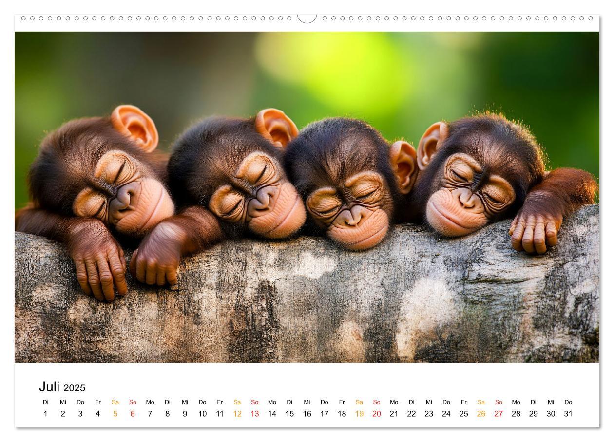 Bild: 9783457233672 | Wenn Tierchen träumen (Wandkalender 2025 DIN A2 quer), CALVENDO...