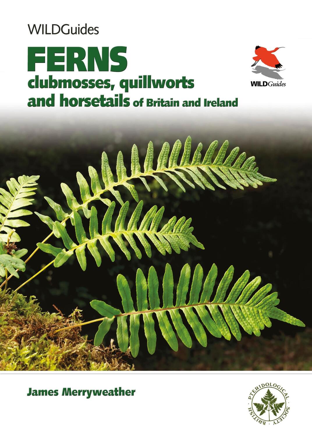Cover: 9780691180397 | Ferns | Clubmosses, Quillworts and Horsetails of Britain and Ireland
