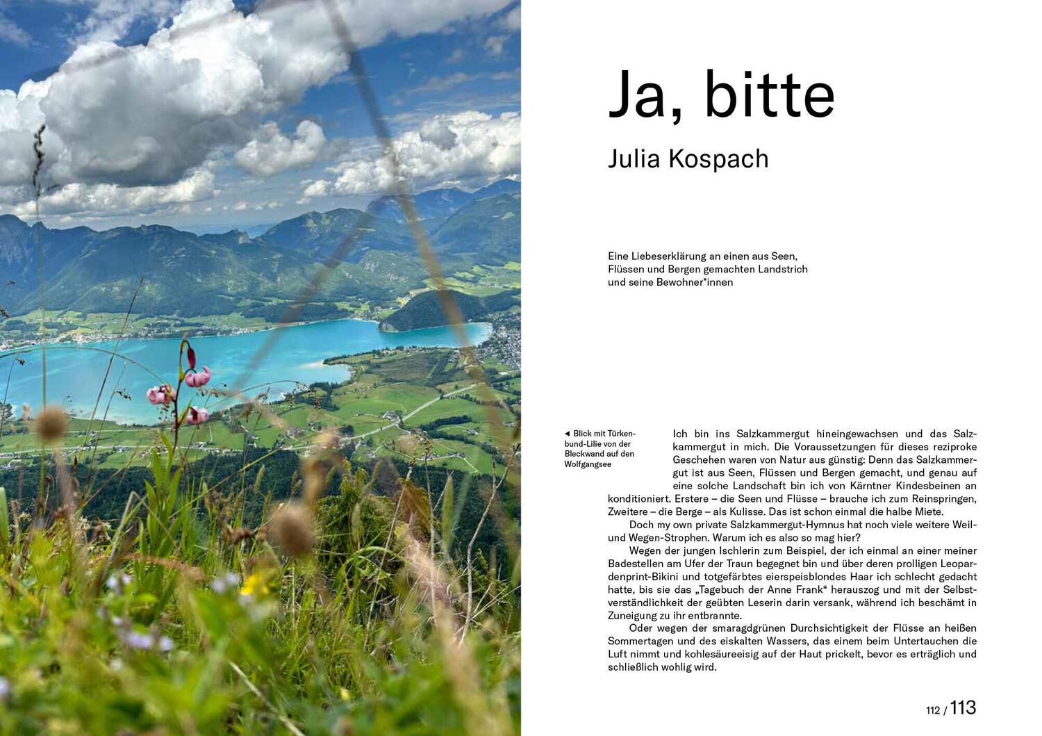 Bild: 9783791380162 | Salz Seen Land | Julia Kospach (u. a.) | Buch | 304 S. | Deutsch