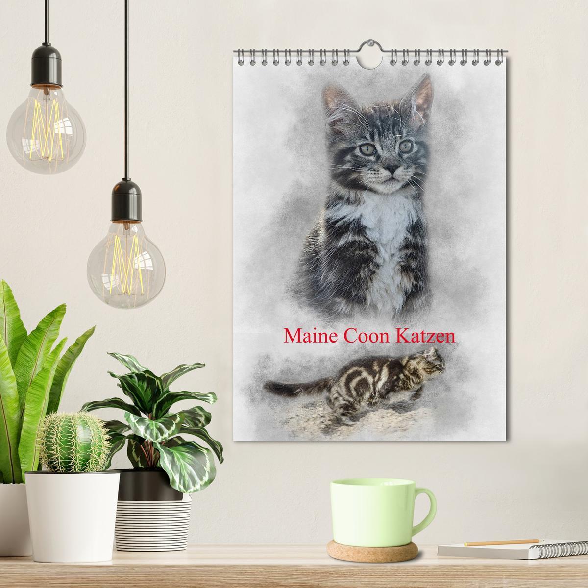 Bild: 9783435975365 | Maine Coon Katzen (Wandkalender 2025 DIN A4 hoch), CALVENDO...