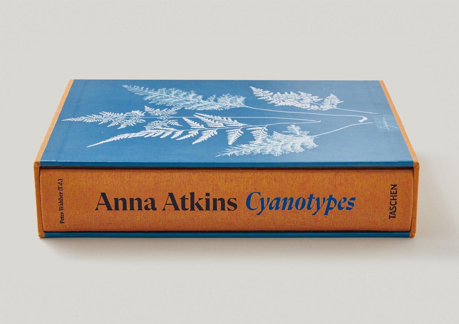 Bild: 9783836596039 | Anna Atkins. Cyanotypes | Peter Walther | Buch | Schuber | 660 S.