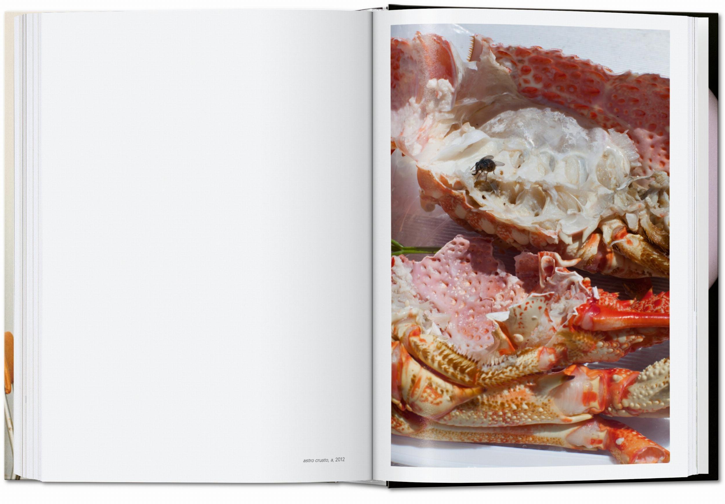 Bild: 9783836582537 | Wolfgang Tillmans. four books. 40th Ed. | Wolfgang Tillmans | Buch