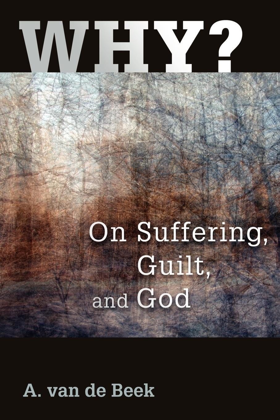 Cover: 9780802804273 | Why? | On Suffering, Guilt, and God | A. van de Beek (u. a.) | Buch