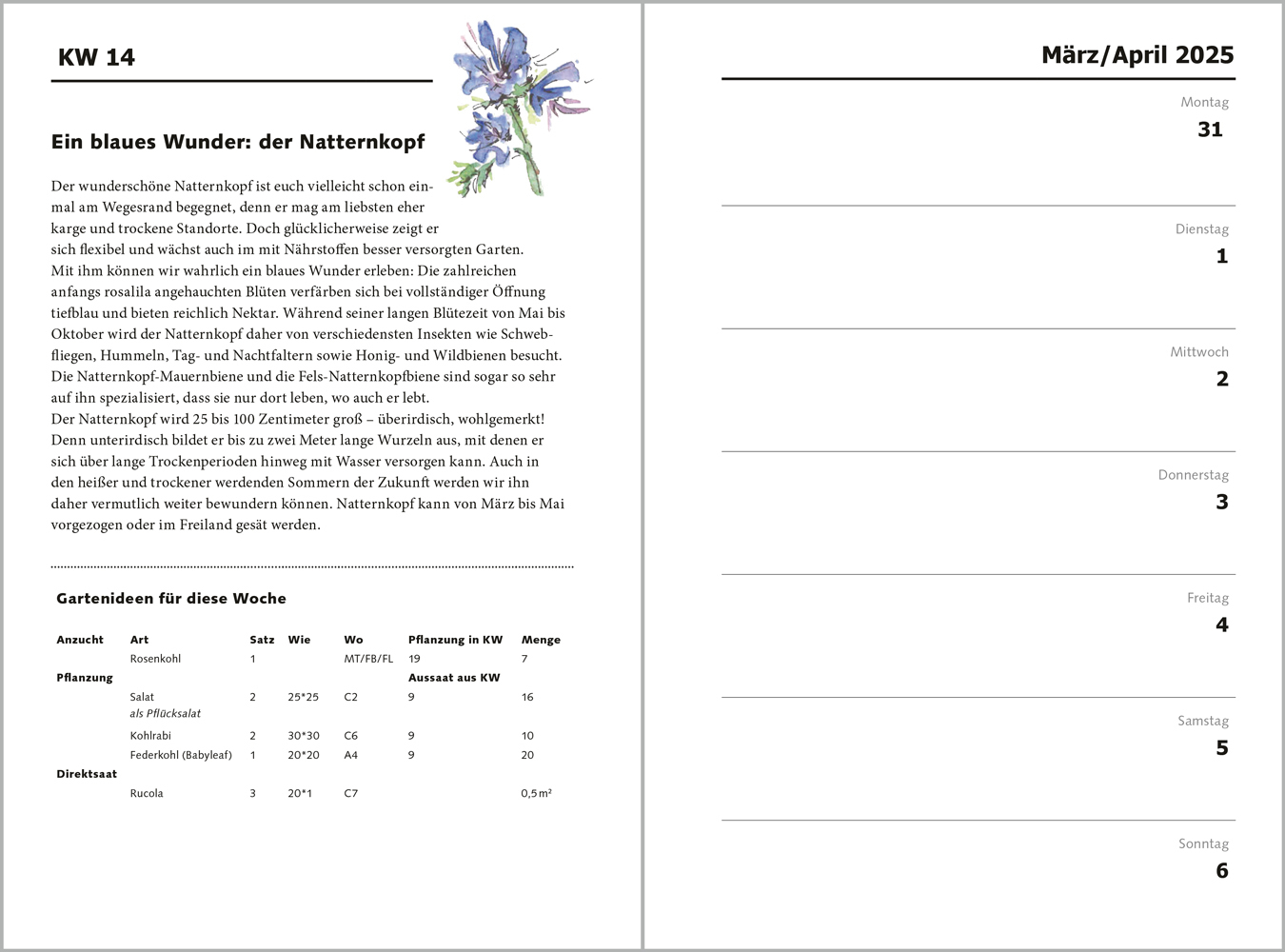 Bild: 9783987260643 | taschenGARTEN 2025 | Anja Banzhaf (u. a.) | Buch | 192 S. | Deutsch