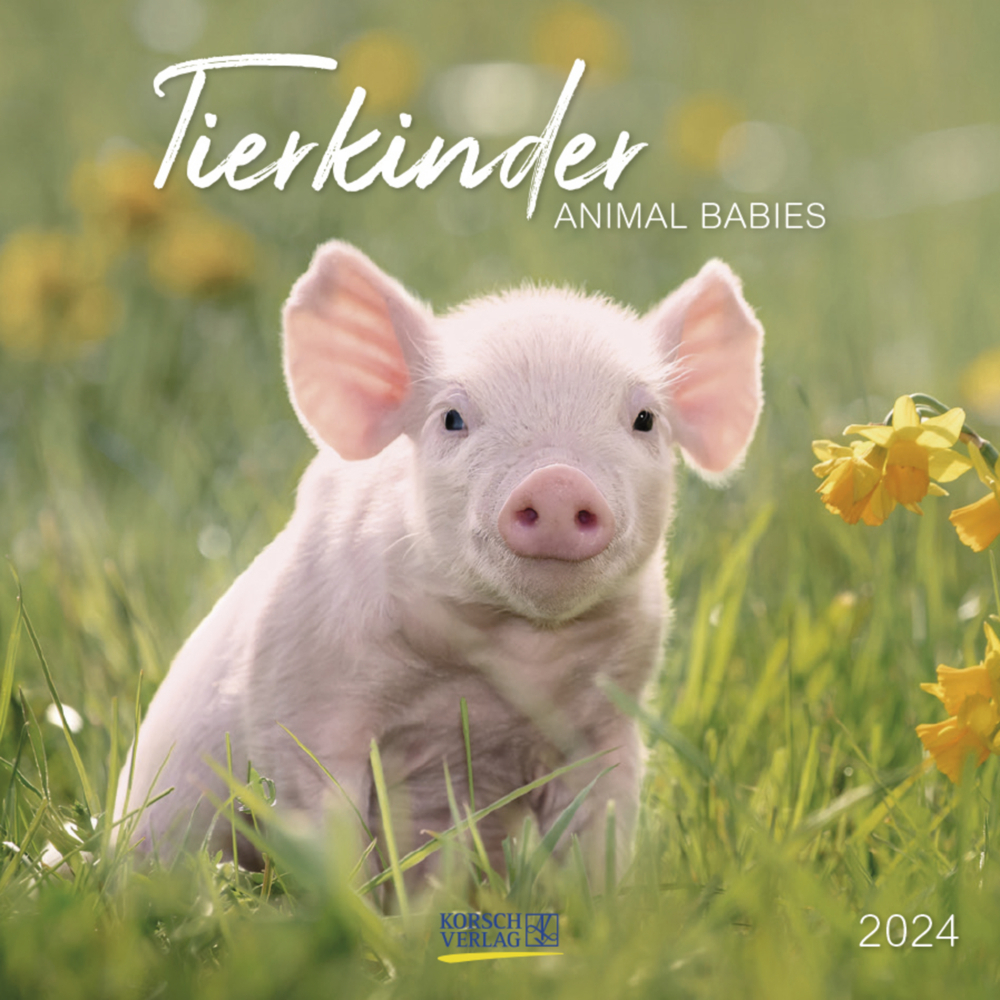 Cover: 9783731868217 | Tierkinder 2024 | Korsch Verlag | Kalender | Englisch Broschur | 13 S.