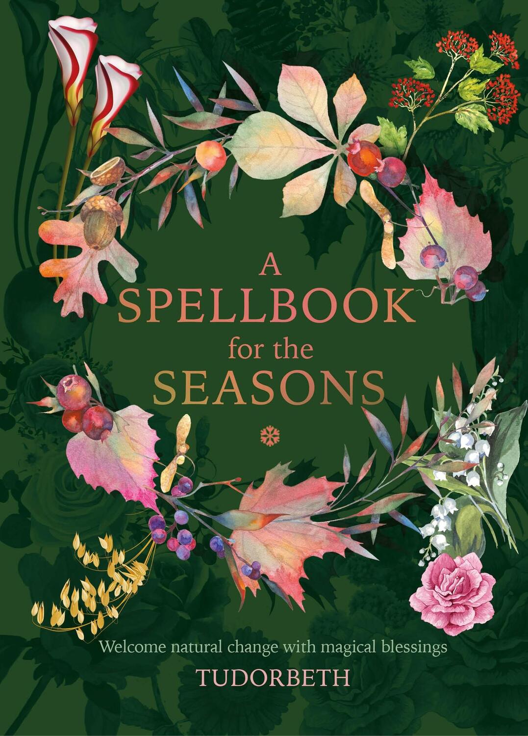 Cover: 9781859064498 | A Spellbook for the Seasons | Tudorbeth | Buch | Gebunden | Englisch