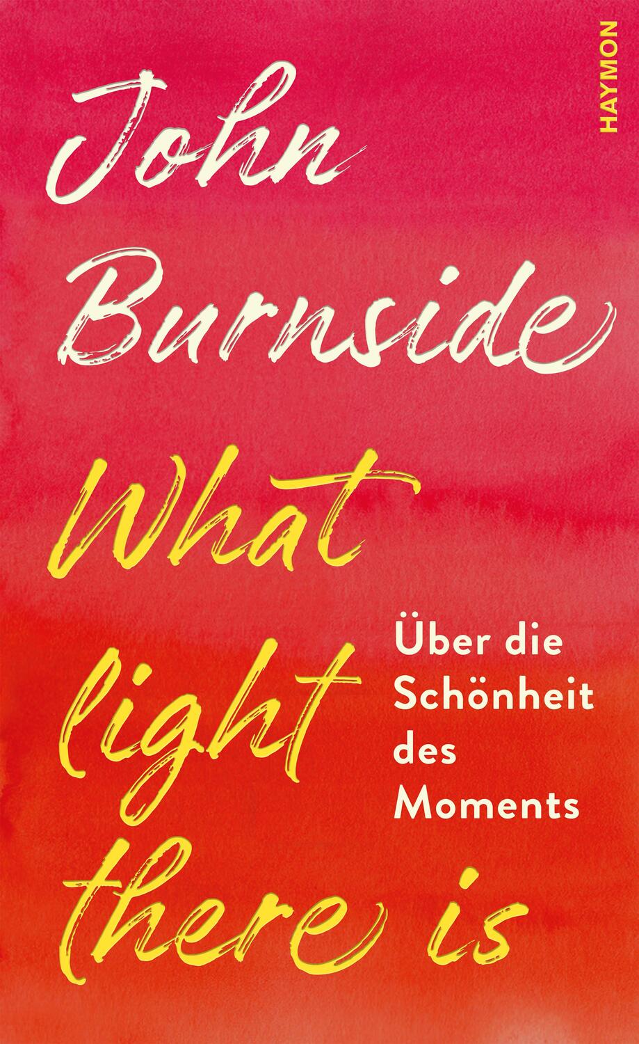 Cover: 9783709981146 | What light there is | Über die Schönheit des Moments | John Burnside