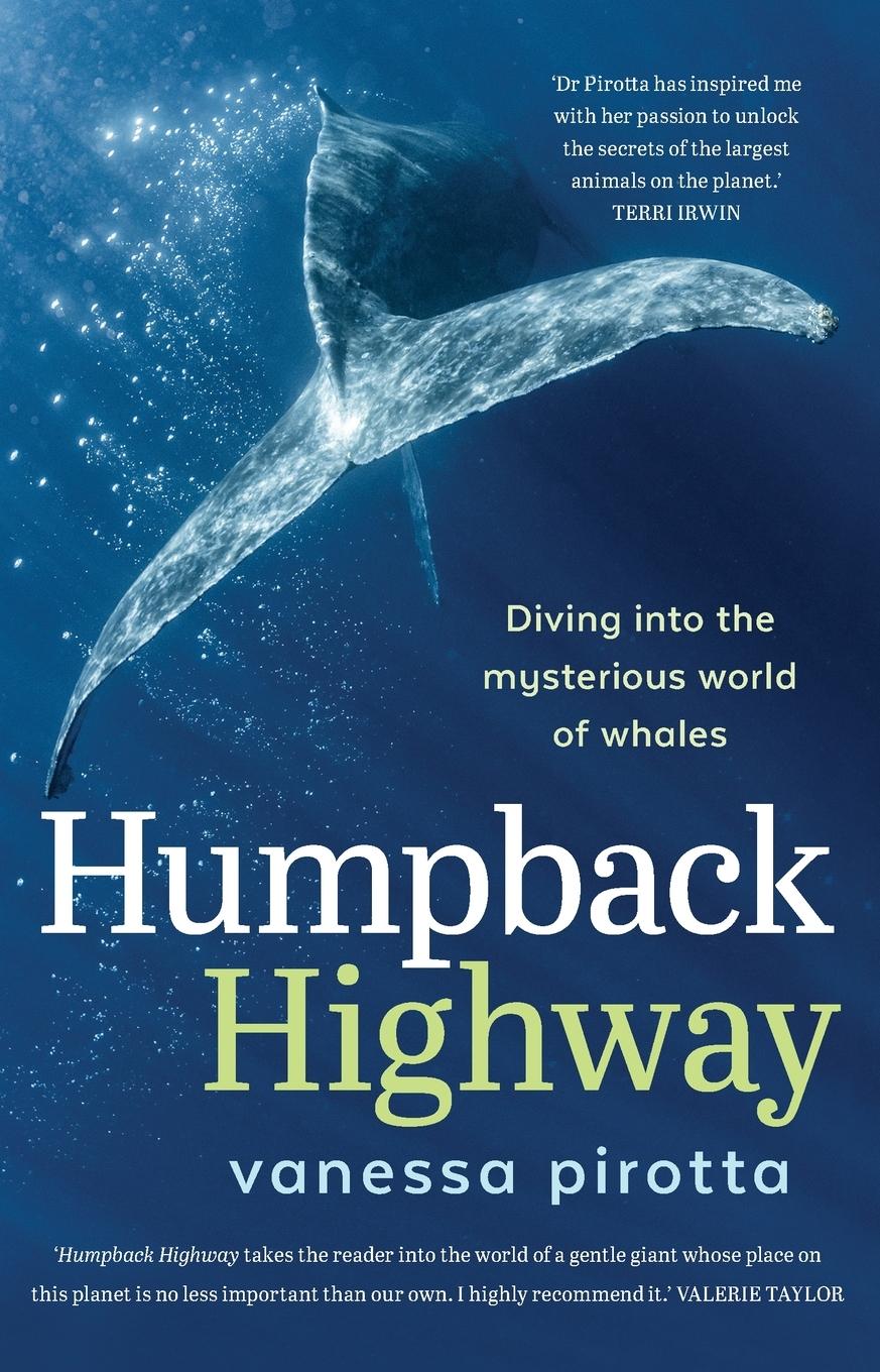 Cover: 9781742237978 | Humpback Highway | Diving into the mysterious world of whales | Buch