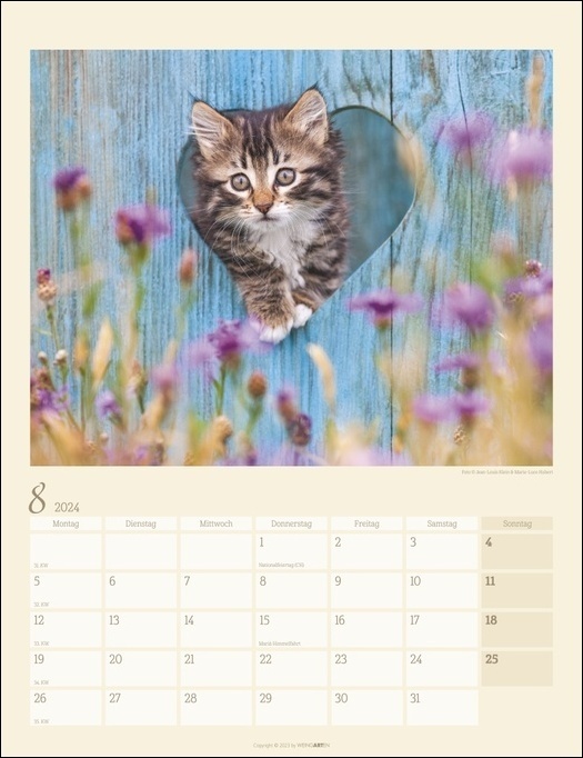 Bild: 9783840085604 | Katzen auf dem Lande Kalender 2024. Süße Kätzchen in ländlicher...